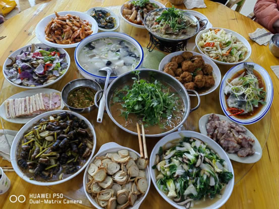 營養(yǎng)膳食